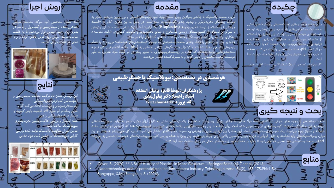 پوستر پروژه